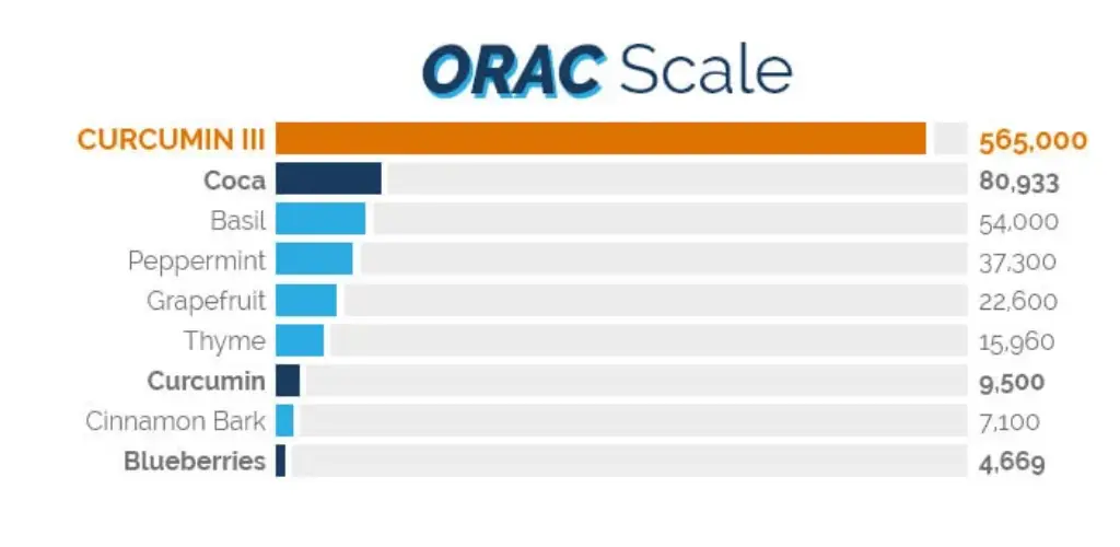 Design sem nome (15)